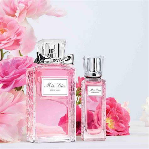 dior rose toilette|Dior pictures for wall.